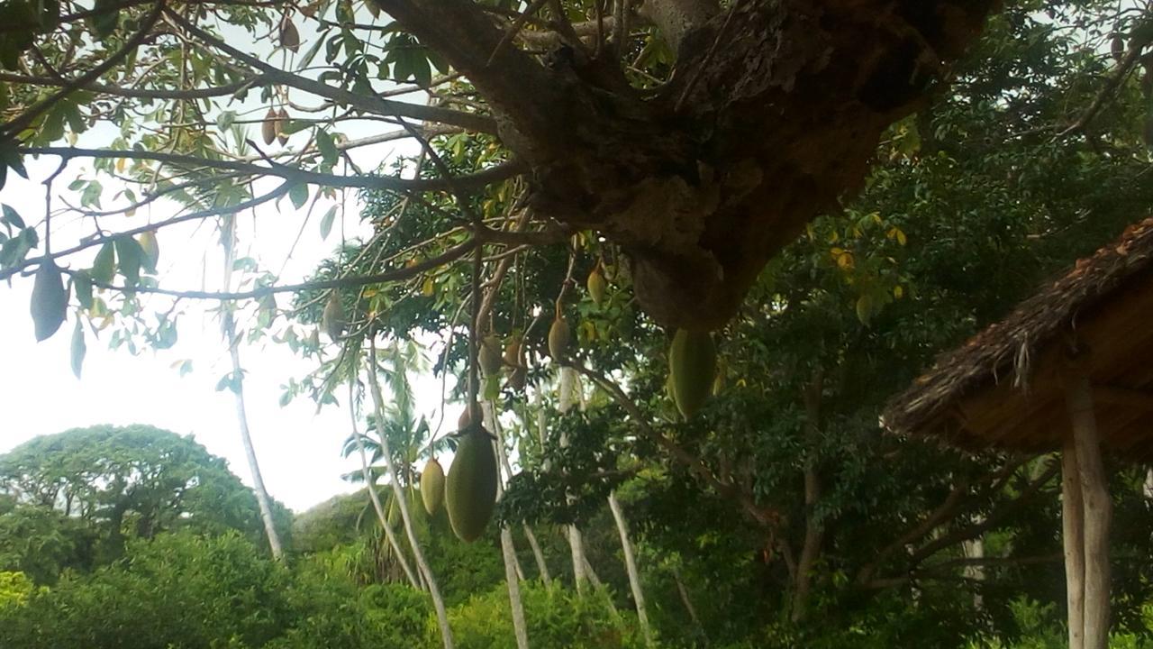 Bahari Pori Resort Pangani المظهر الخارجي الصورة