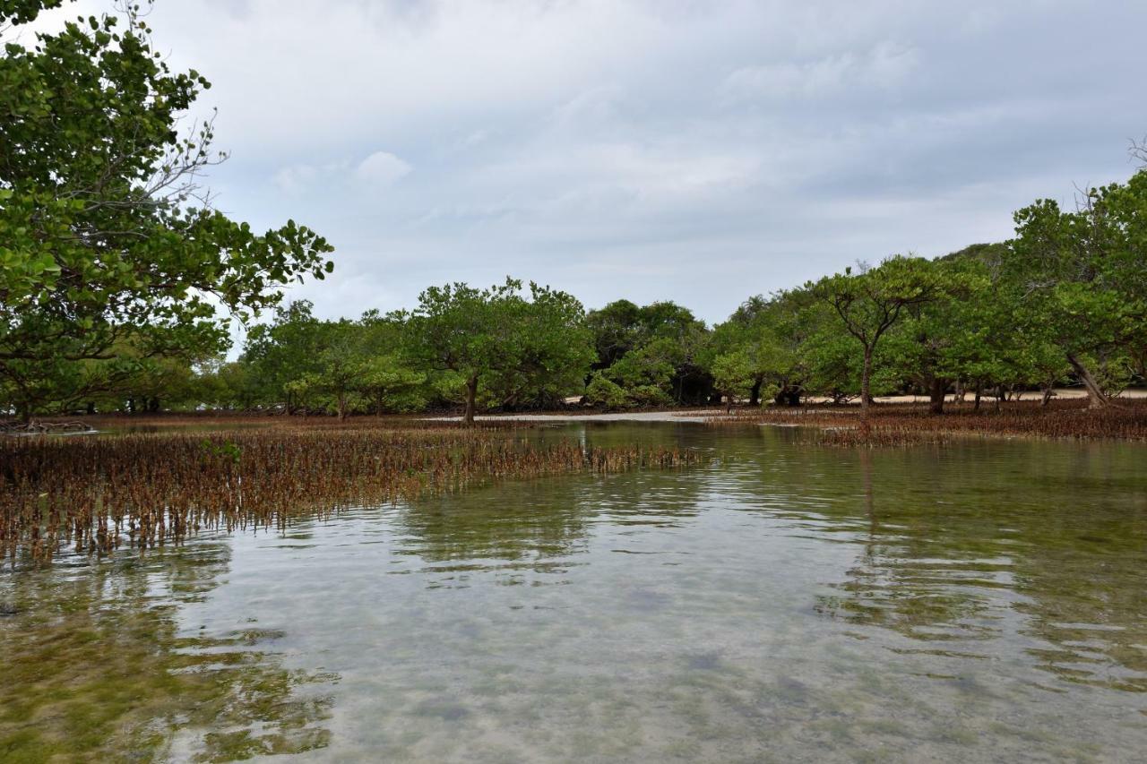 Bahari Pori Resort Pangani المظهر الخارجي الصورة